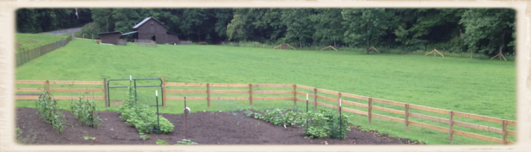 Farm Sustainable environment steward garden homestead homesteading